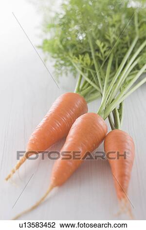 Stock Image - Carrot. Fotosearch