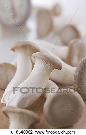 Stock Image - Eringi Mushroom. Fotosearch