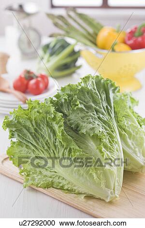 Stock Image - Green Leaf Lettuce. Fotosearch