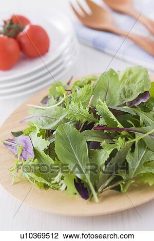 Mesclun Greens View Large Photo Image Stock Image - Mesclun Greens. Fotosearch
