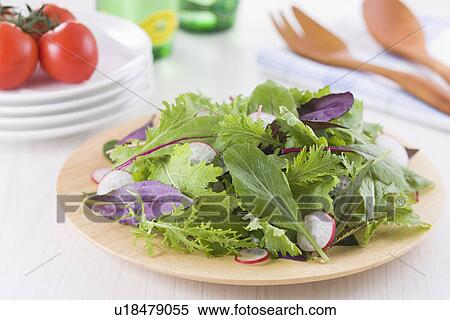 Mesclun Greens View Large Photo Image Stock Photography - Mesclun Greens. Fotosearch