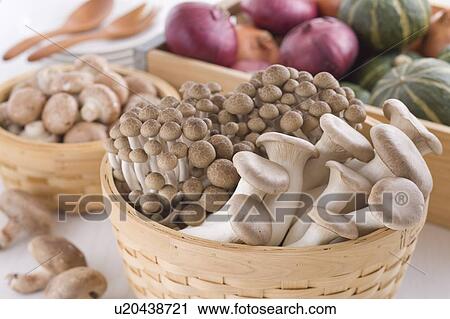 Stock Image - Mushroom. Fotosearch