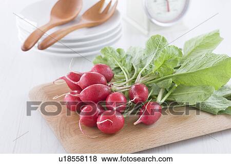 Stock Photo - Radish. Fotosearch