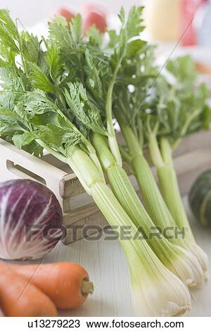 Vegetable View Large Photo Image Stock Image - Vegetable. Fotosearch