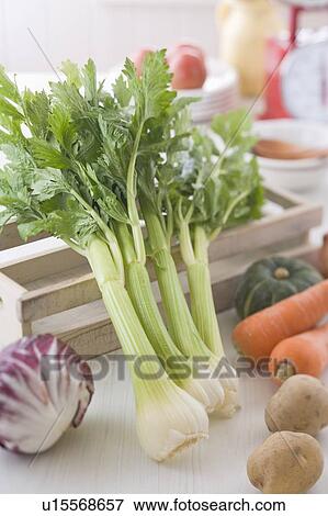 Stock Photo - Vegetable. Fotosearch