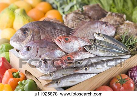 Fresh Food View Large Photo Image Stock Photo - Fresh Food. Fotosearch