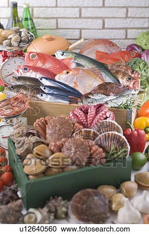 Seafood View Large Photo Image Stock Image - Seafood. Fotosearch