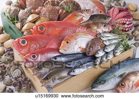 Stock Image - Seafood. Fotosearch
