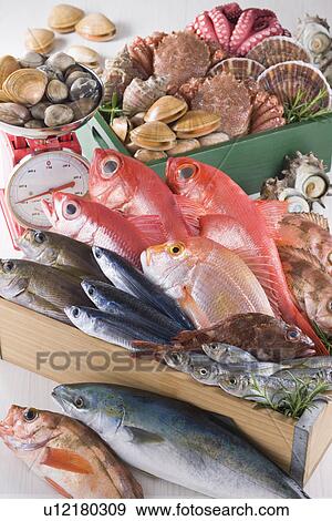Stock Photo - Seafood. Fotosearch