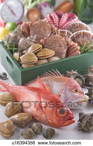 Stock Photograph - Seafood. Fotosearch