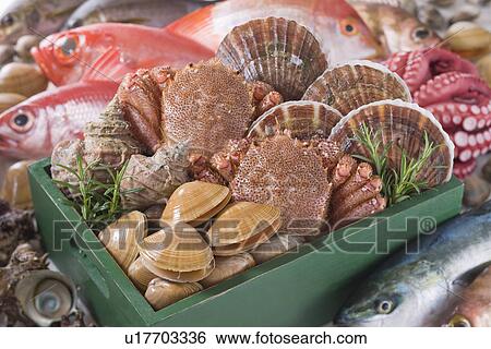 Seafood View Large Photo Image Stock Photograph - Seafood. Fotosearch