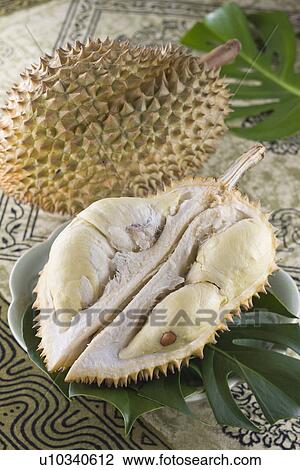 Stock Image - Durian. Fotosearch