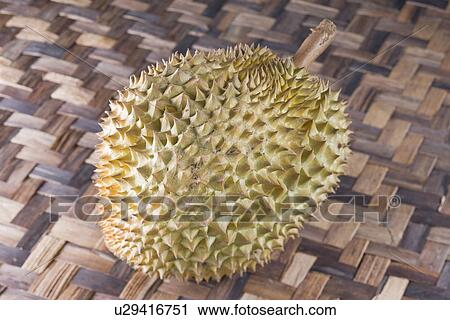 Stock Image - Durian. Fotosearch
