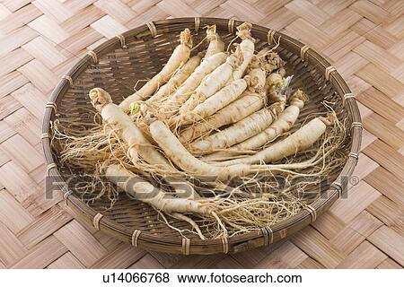 Stock Photo - Goryeo Insam. Fotosearch