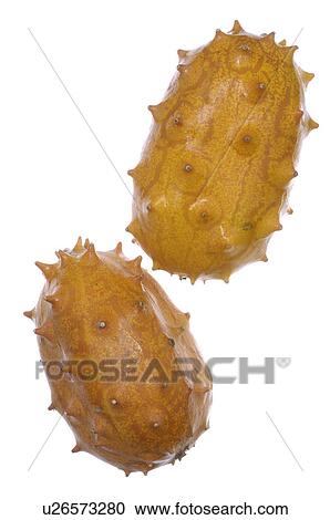 Stock Image - -. Fotosearch