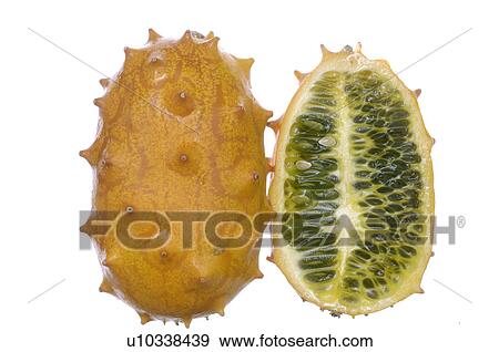- View Large Photo Image Stock Photo - -. Fotosearch