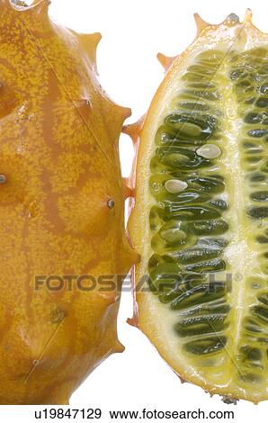 Stock Photo - -. Fotosearch