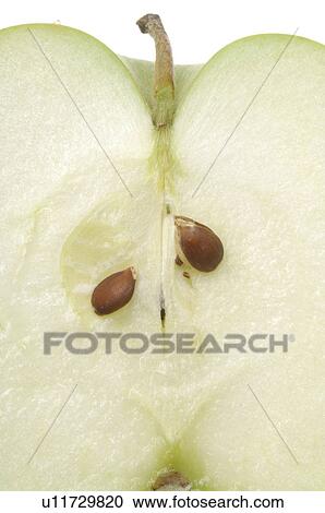Apple half, close up View Large Photo Image Stock Image - Apple half, close up. Fotosearch
