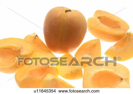 Apricot View Large Photo Image Picture - Apricot. Fotosearch