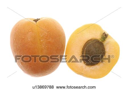 Stock Photo - Apricot. Fotosearch