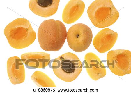 Stock Photography - Apricot. Fotosearch