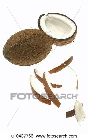 Stock Image - Coconut. Fotosearch