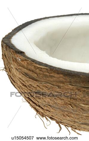 Stock Photo - Coconut. Fotosearch