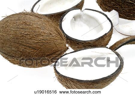 Coconut View Large Photo Image Stock Photograph - Coconut. Fotosearch