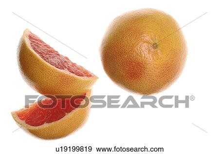 Grapefruit View Large Photo Image Stock Photo - Grapefruit. Fotosearch