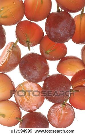 Grapes View Large Photo Image Stock Photo - Grapes. Fotosearch