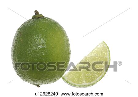 Stock Photo - Limes. Fotosearch