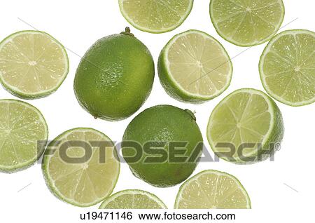 Limes View Large Photo Image Stock Photograph - Limes. Fotosearch
