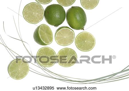 Limes View Large Photo Image Stock Photography - Limes. Fotosearch