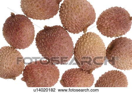 Stock Image - Lychee. Fotosearch
