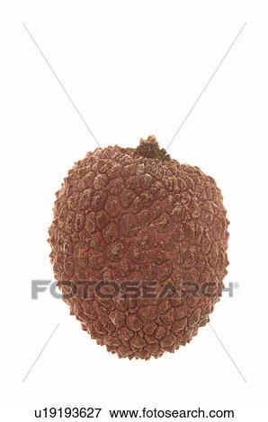 Stock Photo - Lychee. Fotosearch