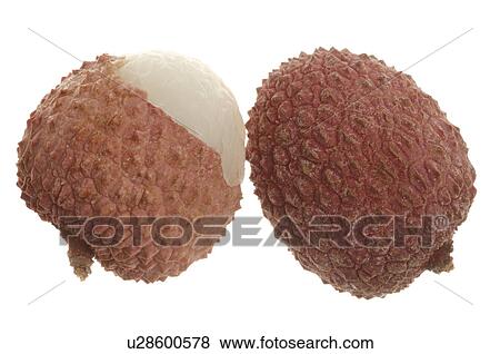 Stock Photo - Lychee. Fotosearch