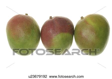 Stock Image - Mango. Fotosearch