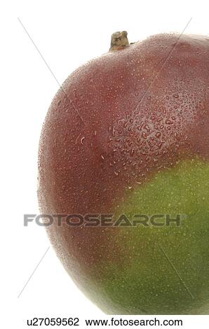 Stock Image - Mango. Fotosearch