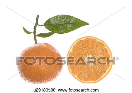 Stock Image - Oranges, fruit and slice. Fotosearch