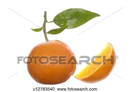 Oranges, fruits and piece View Large Photo Image Stock Image - Oranges, fruits and piece. Fotosearch
