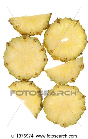Picture - Pineapple slices. Fotosearch
