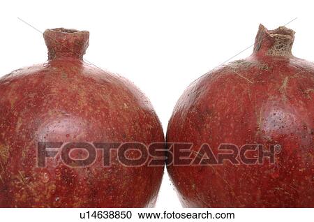 Pomegranate View Large Photo Image Stock Image - Pomegranate. Fotosearch