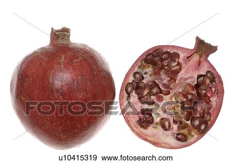 Pomegranate View Large Photo Image Stock Photo - Pomegranate. Fotosearch