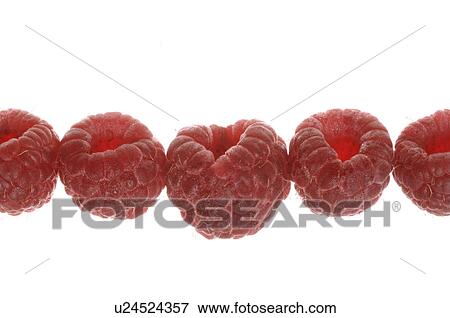 Stock Photo - Raspberry. Fotosearch