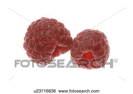 Raspberry View Large Photo Image Stock Photograph - Raspberry. Fotosearch