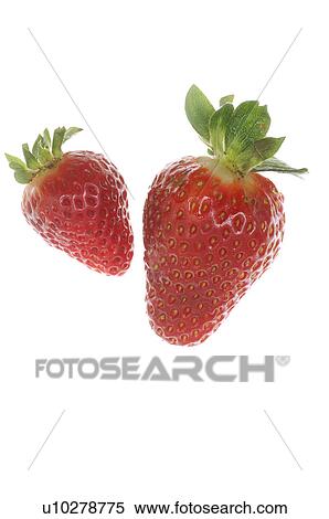 Stock Photography - Two Strawberries. Fotosearch