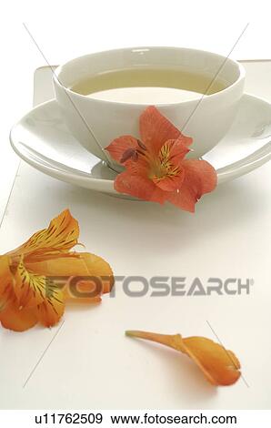 Stock Photo - A cup of tea with blossoms. Fotosearch