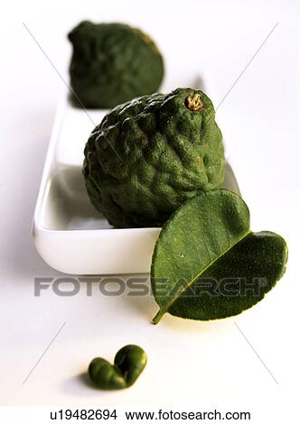 Bergamot (Citrus bergamia) View Large Photo Image Picture - Bergamot (Citrus bergamia). Fotosearch