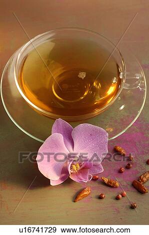 Cup of Tea with chile peppers and orchid blossoms View Large Photo Image Stock Photo - Cup of Tea with chile peppers and orchid blossoms. Fotosearch