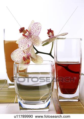 Hibiscus juice View Large Photo Image Stock Image - Hibiscus juice. Fotosearch